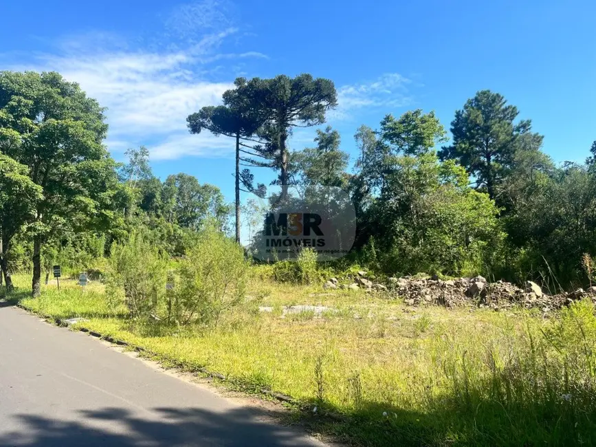 Foto 2 de Terreno / Lote à venda, 810m2 em Nova Petropolis - RS