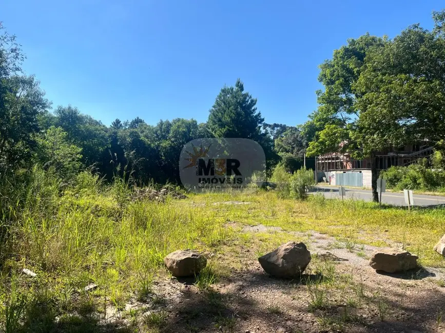 Foto 1 de Terreno / Lote à venda, 810m2 em Nova Petropolis - RS