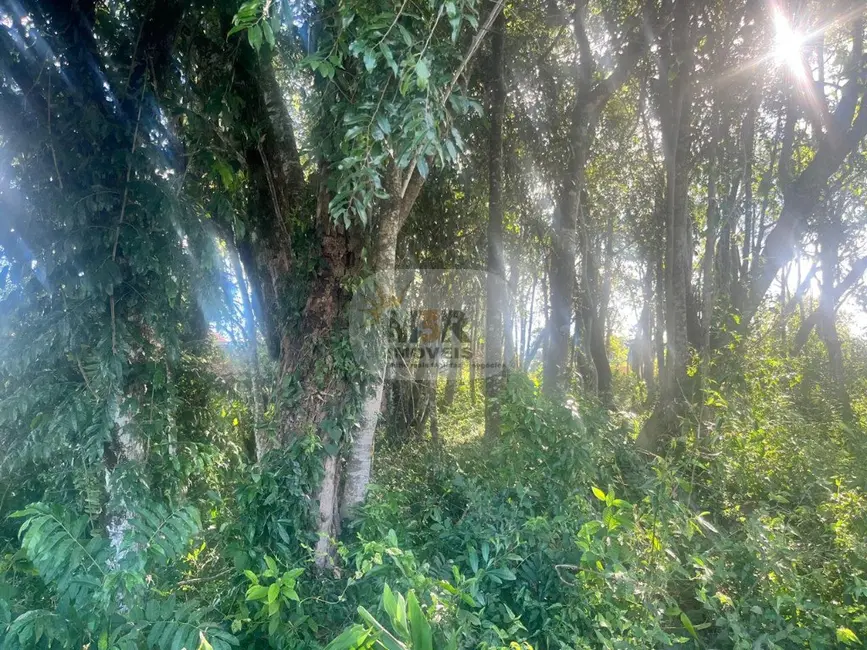 Terreno / Lote à venda, 519m2 em Nova Petropolis - RS - imagem 3 Foto 3 de Terreno / Lote à venda, 519m2 em Nova Petropolis - RS