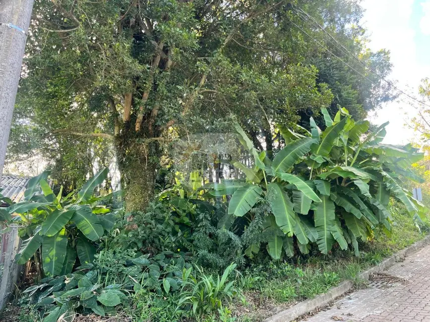 Terreno / Lote à venda, 519m2 em Nova Petropolis - RS - imagem 1 Foto 1 de Terreno / Lote à venda, 519m2 em Nova Petropolis - RS