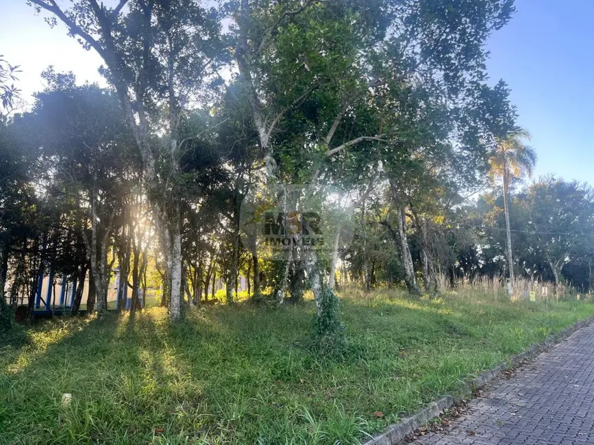 Terreno / Lote à venda, 562m2 em Nova Petropolis - RS - imagem 3 Foto 3 de Terreno / Lote à venda, 562m2 em Nova Petropolis - RS