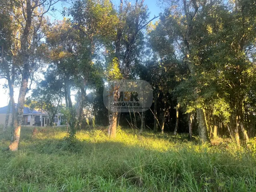 Terreno / Lote à venda, 562m2 em Nova Petropolis - RS - imagem 2 Foto 2 de Terreno / Lote à venda, 562m2 em Nova Petropolis - RS