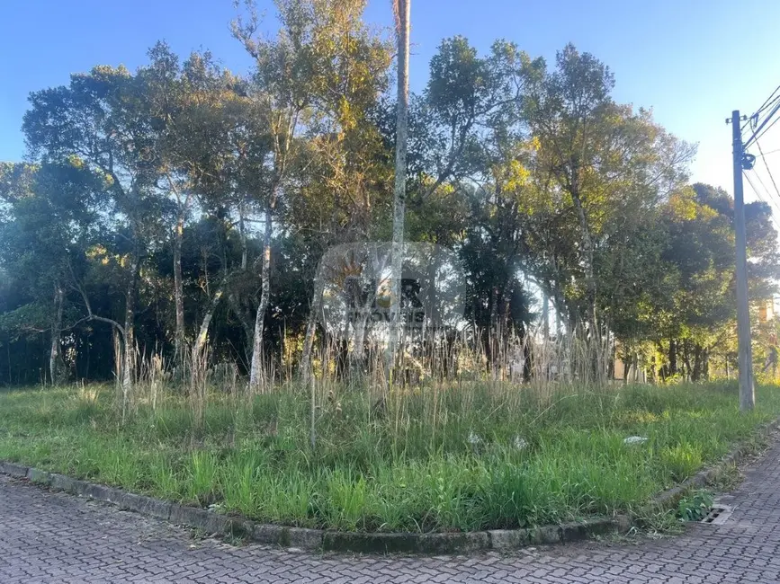 Terreno / Lote à venda, 562m2 em Nova Petropolis - RS - imagem 1 Foto 1 de Terreno / Lote à venda, 562m2 em Nova Petropolis - RS