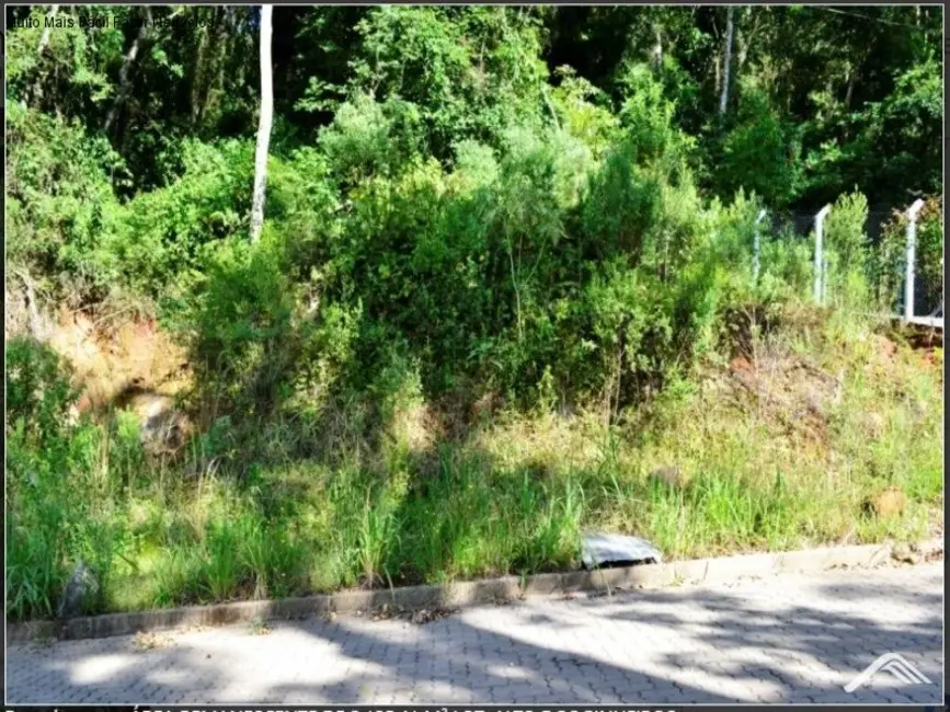 Foto 2 de Terreno / Lote à venda, 2125m2 em Nova Petropolis - RS