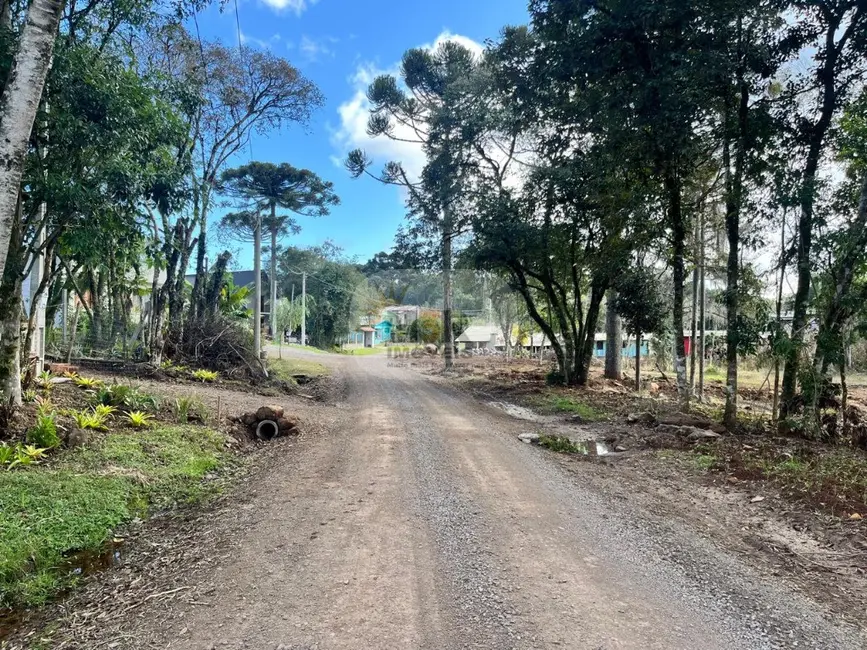 Foto 3 de Terreno / Lote à venda, 451m2 em Nova Petropolis - RS