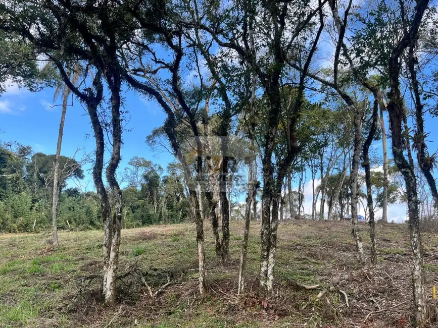 Terreno / Lote à venda, 452m2 em Nova Petropolis - RS - imagem 2 Foto 2 de Terreno / Lote à venda, 452m2 em Nova Petropolis - RS