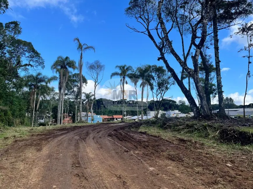 Terreno / Lote à venda, 3787m2 em Nova Petropolis - RS - imagem 2 Foto 2 de Terreno / Lote à venda, 3787m2 em Nova Petropolis - RS