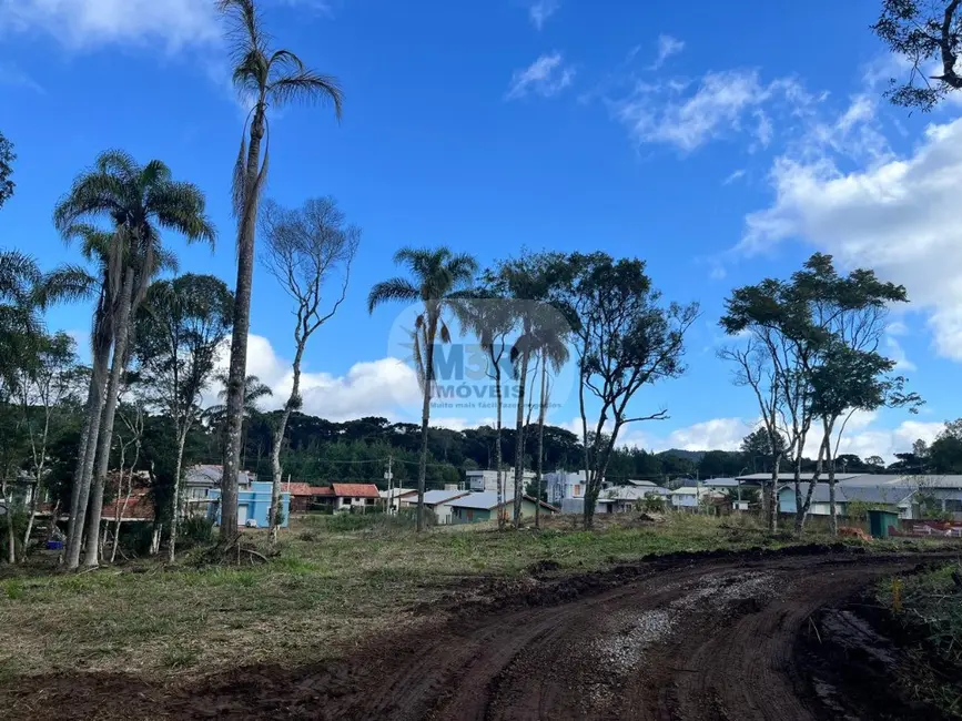 Terreno / Lote à venda, 3787m2 em Nova Petropolis - RS - imagem 3 Foto 3 de Terreno / Lote à venda, 3787m2 em Nova Petropolis - RS