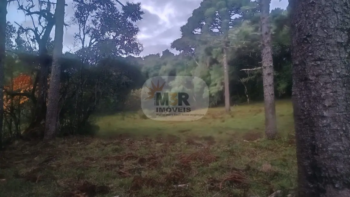 Terreno / Lote à venda, 50m2 em Caxias Do Sul - RS - imagem 3 Foto 3 de Terreno / Lote à venda, 50m2 em Caxias Do Sul - RS