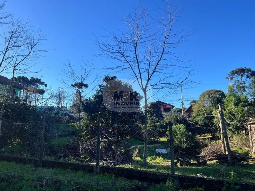 Foto 1 de Terreno / Lote à venda, 1063m2 em Nova Petropolis - RS