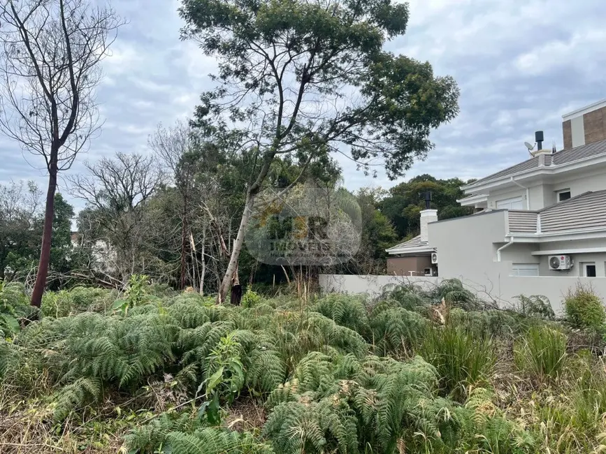 Foto 2 de Terreno / Lote à venda, 450m2 em Nova Petropolis - RS