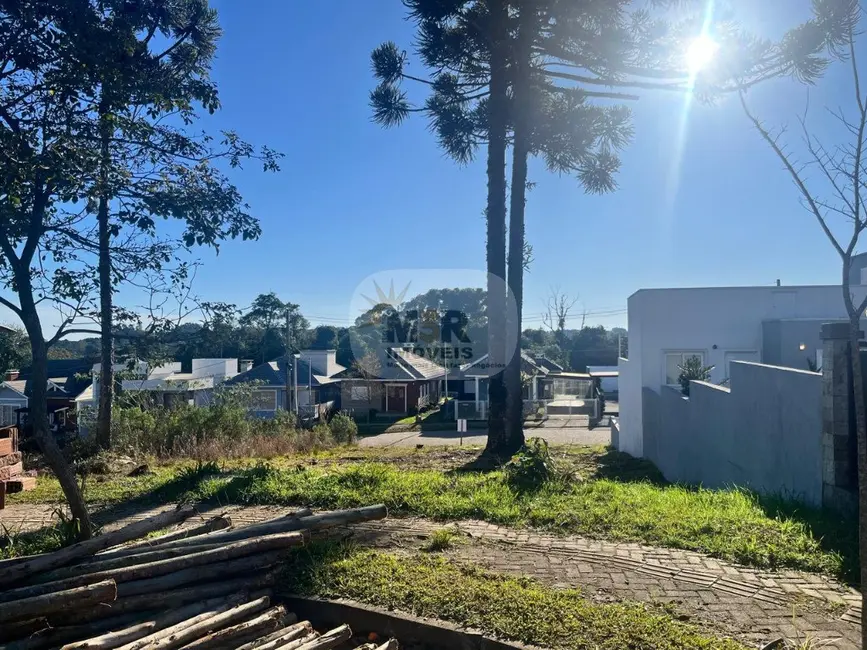 Terreno / Lote à venda, 360m2 em Nova Petropolis - RS - imagem 3 Foto 3 de Terreno / Lote à venda, 360m2 em Nova Petropolis - RS