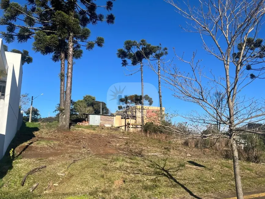 Foto 2 de Terreno / Lote à venda, 360m2 em Nova Petropolis - RS