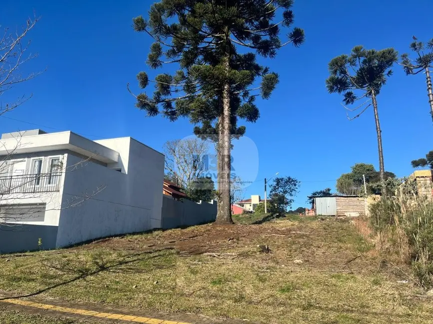 Foto 1 de Terreno / Lote à venda, 360m2 em Nova Petropolis - RS
