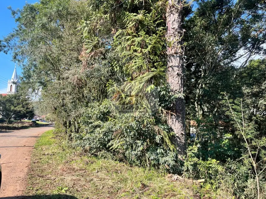 Terreno / Lote à venda, 92m2 em Nova Petropolis - RS - imagem 9 Foto 9 de Terreno / Lote à venda, 92m2 em Nova Petropolis - RS