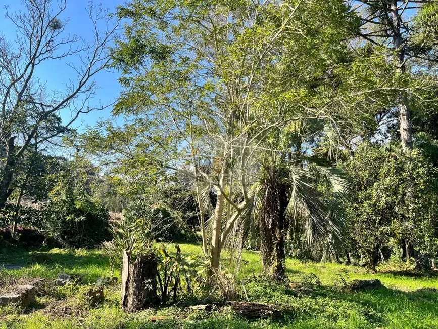 Terreno / Lote à venda, 92m2 em Nova Petropolis - RS - imagem 6 Foto 6 de Terreno / Lote à venda, 92m2 em Nova Petropolis - RS