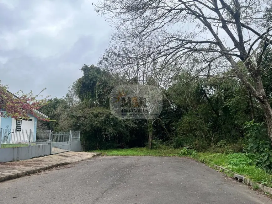 Casa com 2 quartos à venda, 78m2 em Nova Petropolis - RS - imagem 3 Foto 3 de Casa com 2 quartos à venda, 78m2 em Nova Petropolis - RS