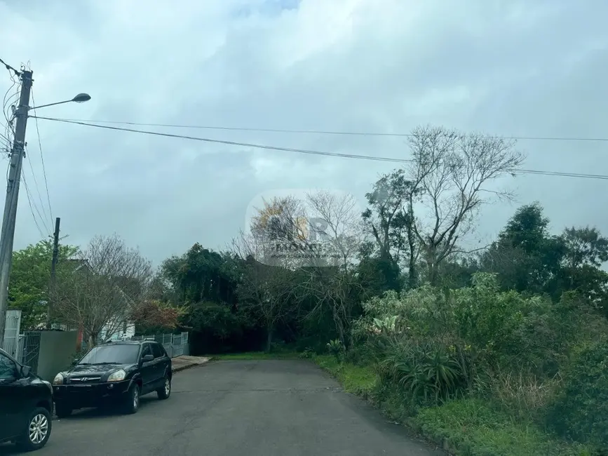Casa com 2 quartos à venda, 78m2 em Nova Petropolis - RS - imagem 2 Foto 2 de Casa com 2 quartos à venda, 78m2 em Nova Petropolis - RS