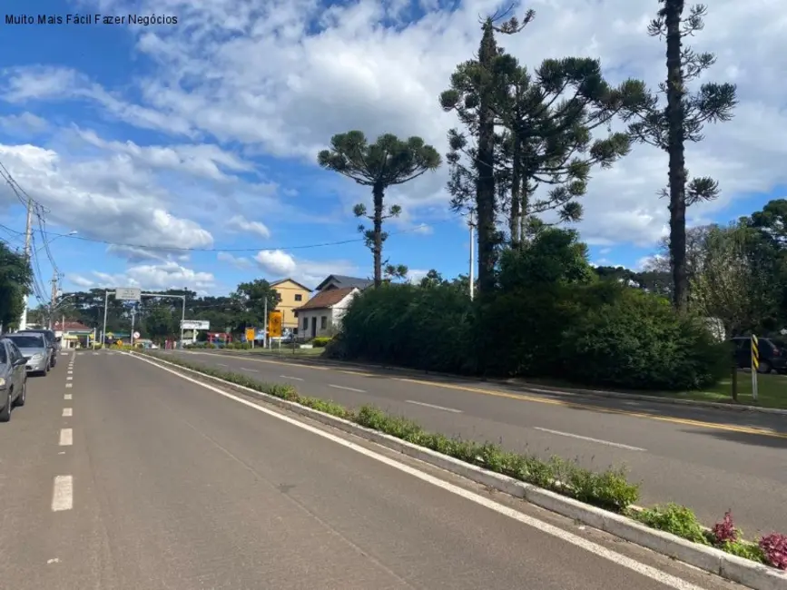 Loja para alugar, 280m2 em Nova Petropolis - RS - imagem 3 Foto 3 de Loja para alugar, 280m2 em Nova Petropolis - RS