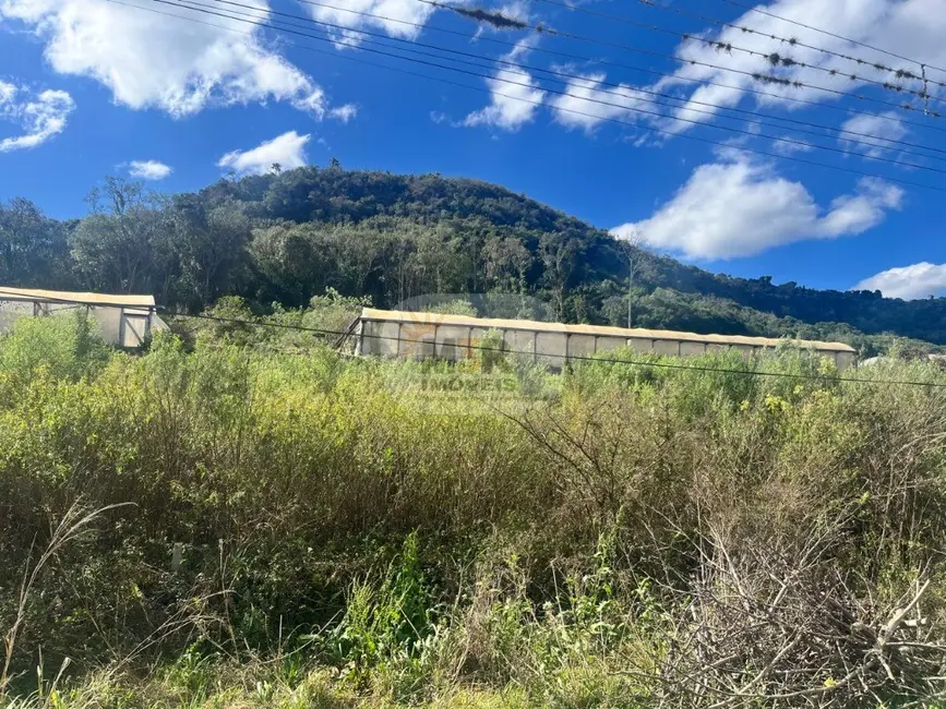 Foto 2 de Terreno / Lote à venda, 360m2 em Nova Petropolis - RS