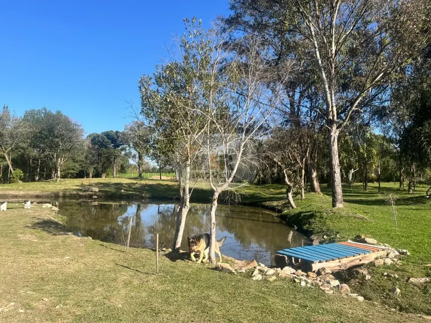 Sítio / Rancho com 3 quartos à venda, 488m2 em Nova Petropolis - RS - imagem 6 Foto 6 de Sítio / Rancho com 3 quartos à venda, 488m2 em Nova Petropolis - RS