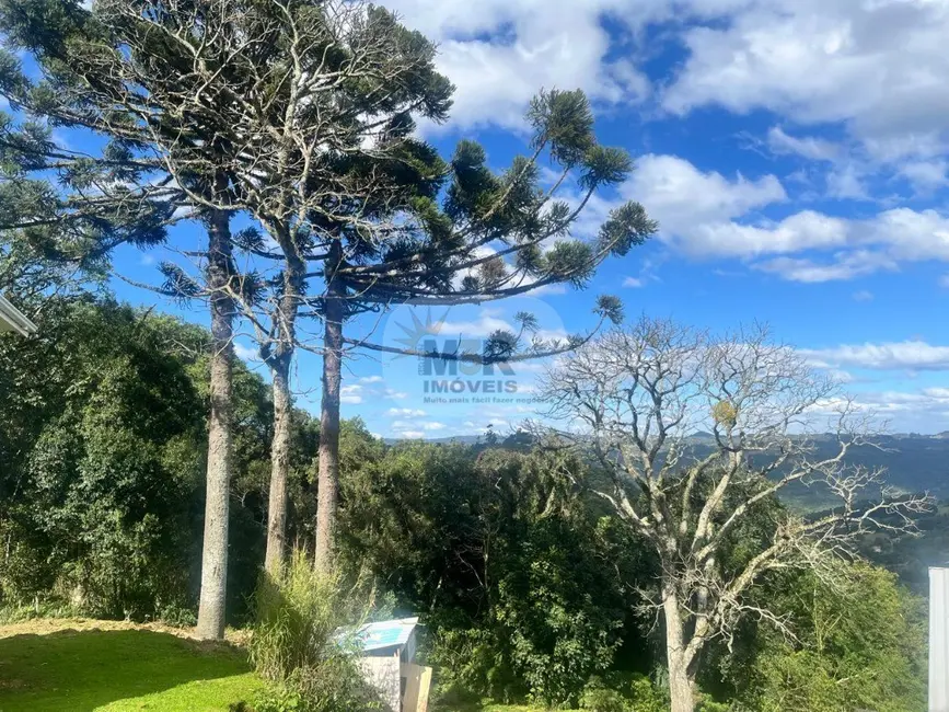 Casa com 1 quarto para alugar, 39m2 em Nova Petropolis - RS - imagem 3 Foto 3 de Casa com 1 quarto para alugar, 39m2 em Nova Petropolis - RS