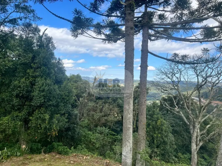 Casa com 1 quarto para alugar, 39m2 em Nova Petropolis - RS - imagem 9 Foto 9 de Casa com 1 quarto para alugar, 39m2 em Nova Petropolis - RS