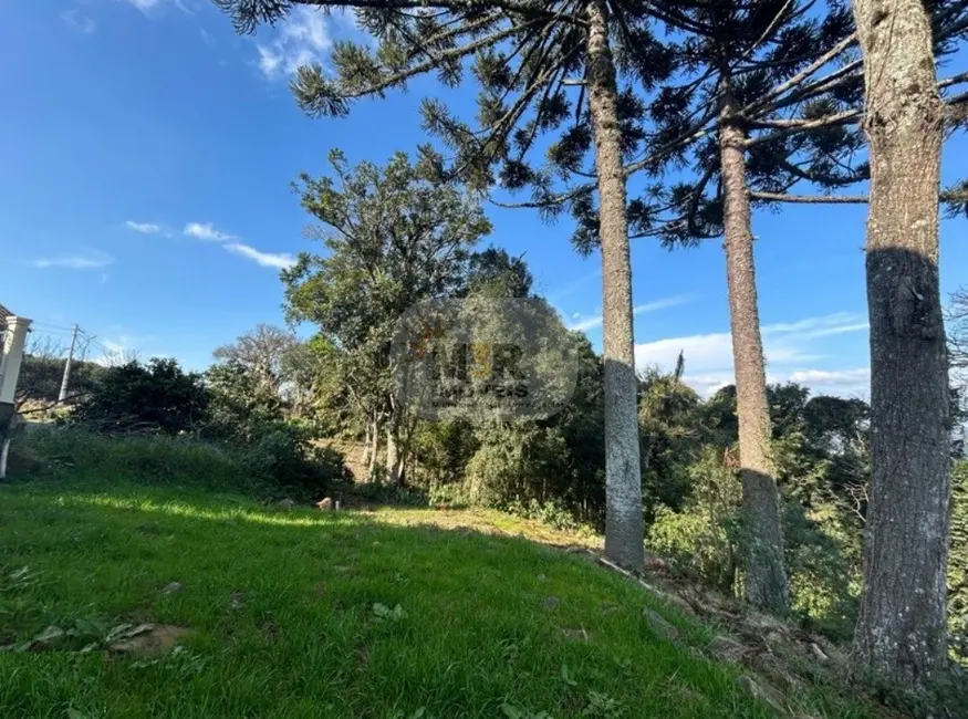 Casa com 1 quarto para alugar, 39m2 em Nova Petropolis - RS - imagem 4 Foto 4 de Casa com 1 quarto para alugar, 39m2 em Nova Petropolis - RS