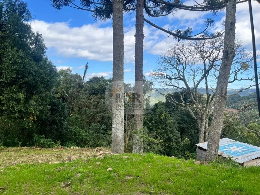 Casa com 1 quarto para alugar, 39m2 em Nova Petropolis - RS - imagem 5 Foto 5 de Casa com 1 quarto para alugar, 39m2 em Nova Petropolis - RS