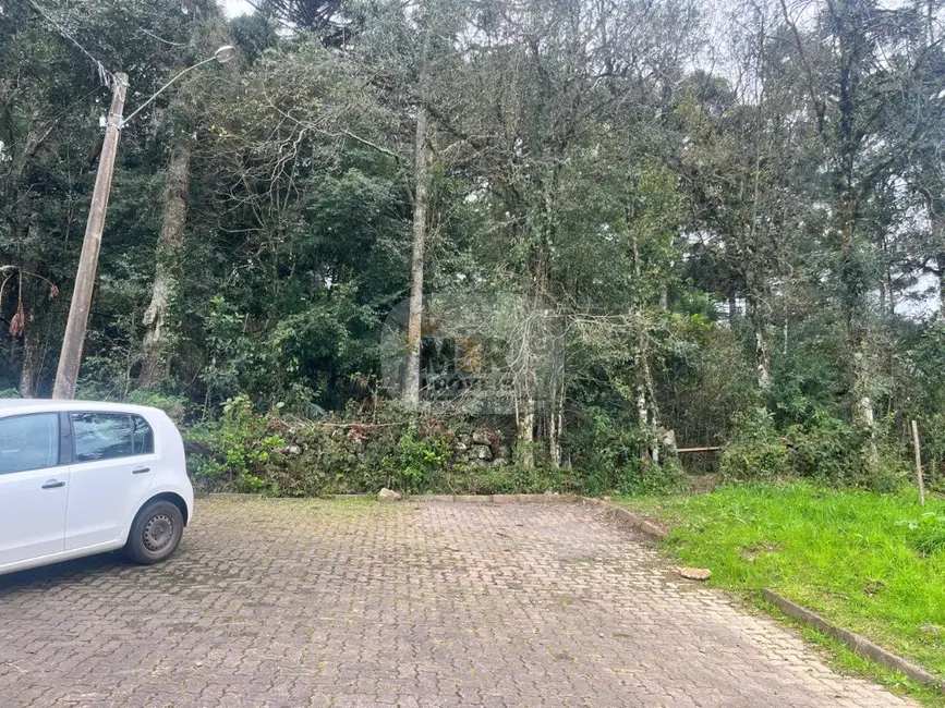 Terreno / Lote à venda, 360m2 em Nova Petropolis - RS - imagem 4 Foto 4 de Terreno / Lote à venda, 360m2 em Nova Petropolis - RS