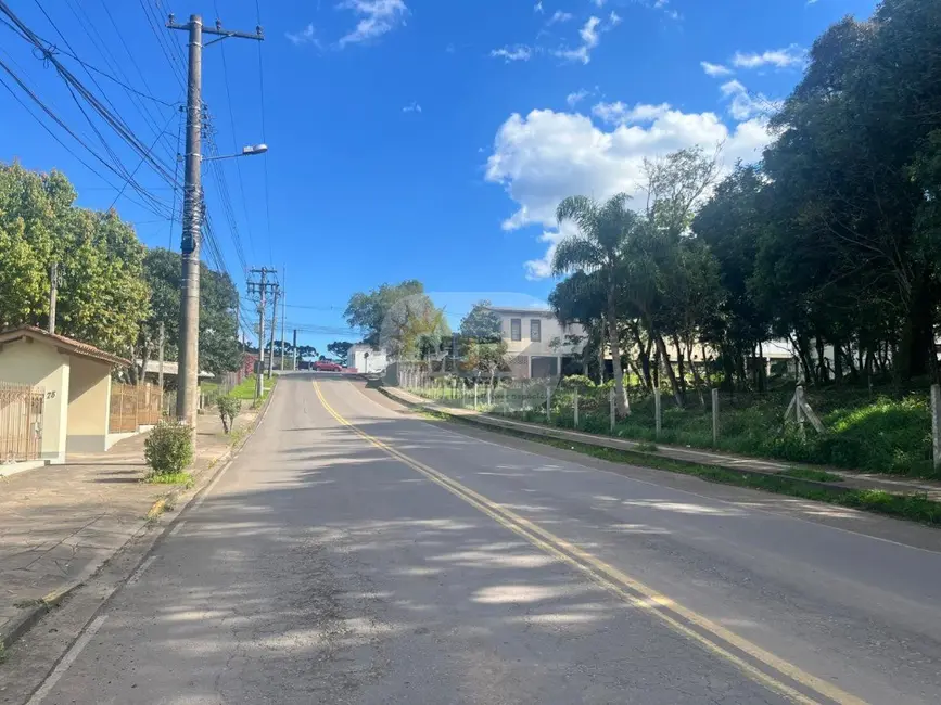 Armazém / Galpão para alugar, 306m2 em Nova Petropolis - RS - imagem 5 Foto 5 de Armazém / Galpão para alugar, 306m2 em Nova Petropolis - RS