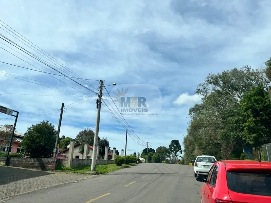 Armazém / Galpão para alugar, 240m2 em Nova Petropolis - RS - imagem 3 Foto 3 de Armazém / Galpão para alugar, 240m2 em Nova Petropolis - RS