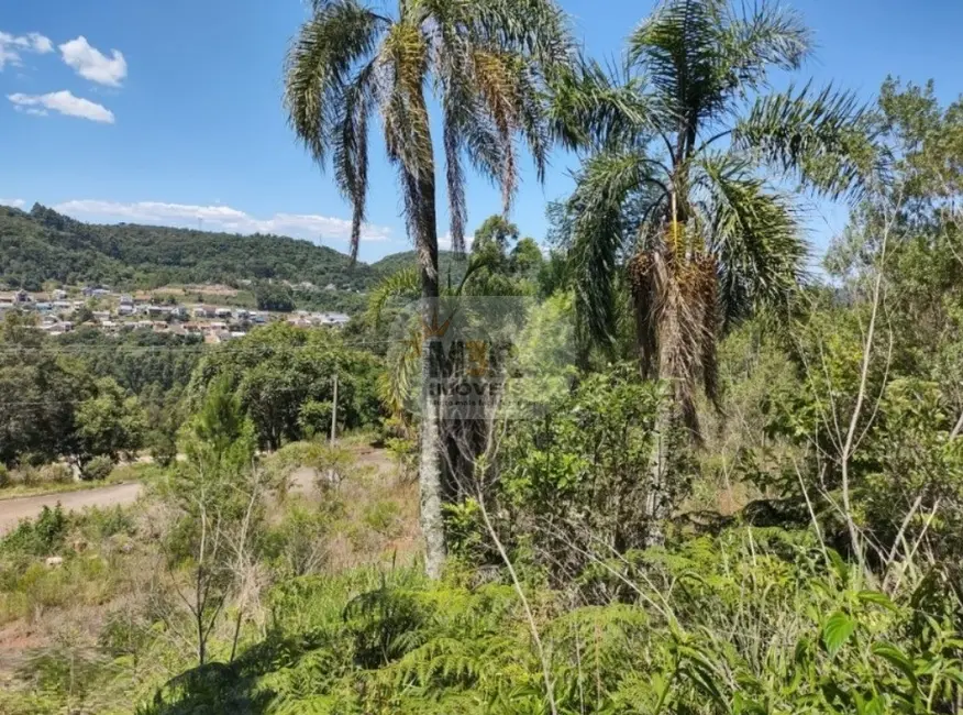 Foto 2 de Terreno / Lote à venda, 504m2 em Nova Petropolis - RS