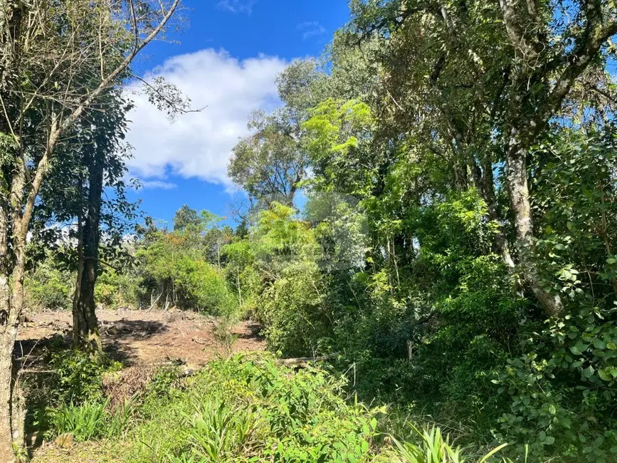 Terreno / Lote à venda, 3287m2 em Nova Petropolis - RS - imagem 3 Foto 3 de Terreno / Lote à venda, 3287m2 em Nova Petropolis - RS