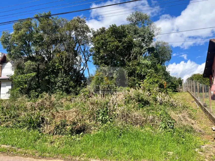 Terreno / Lote à venda, 3287m2 em Nova Petropolis - RS - imagem 2 Foto 2 de Terreno / Lote à venda, 3287m2 em Nova Petropolis - RS