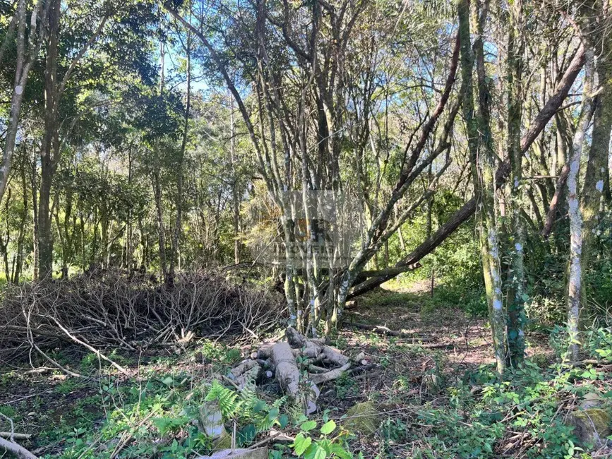 Terreno / Lote à venda em Nova Petropolis - RS - imagem 7 Foto 7 de Terreno / Lote à venda em Nova Petropolis - RS