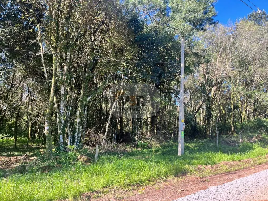 Terreno / Lote à venda em Nova Petropolis - RS - imagem 3 Foto 3 de Terreno / Lote à venda em Nova Petropolis - RS