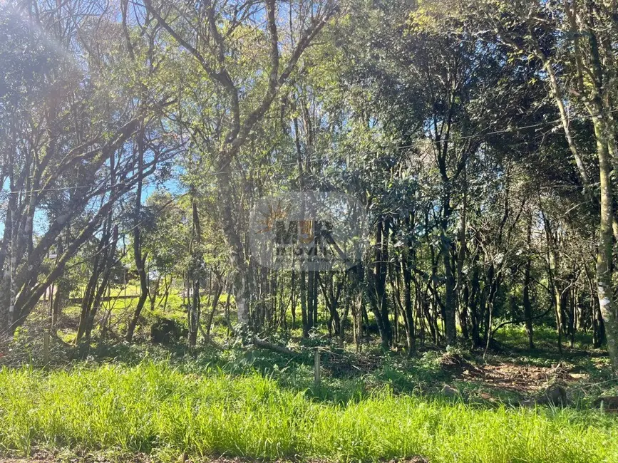Terreno / Lote à venda em Nova Petropolis - RS - imagem 2 Foto 2 de Terreno / Lote à venda em Nova Petropolis - RS
