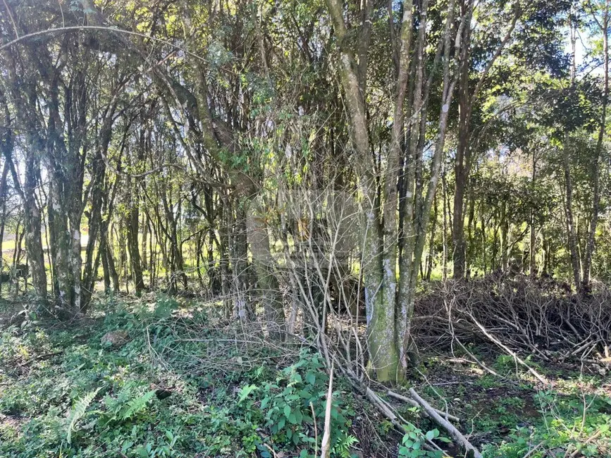 Terreno / Lote à venda em Nova Petropolis - RS - imagem 8 Foto 8 de Terreno / Lote à venda em Nova Petropolis - RS