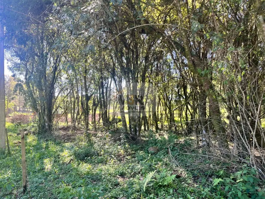 Terreno / Lote à venda em Nova Petropolis - RS - imagem 9 Foto 9 de Terreno / Lote à venda em Nova Petropolis - RS