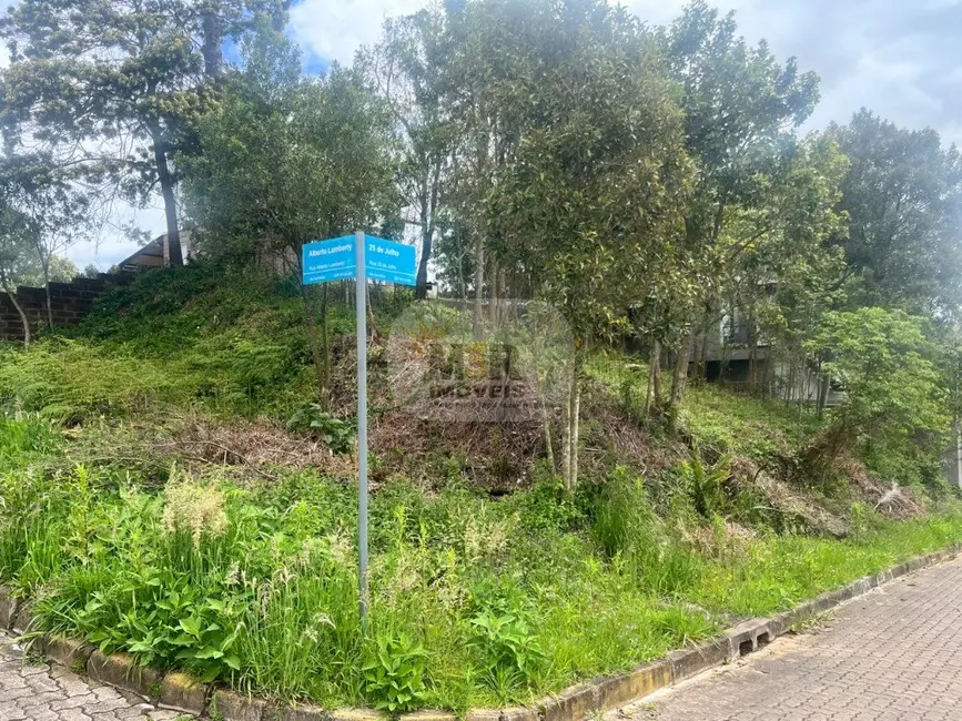 Terreno / Lote à venda, 480m2 em Nova Petropolis - RS - imagem 1 Foto 1 de Terreno / Lote à venda, 480m2 em Nova Petropolis - RS