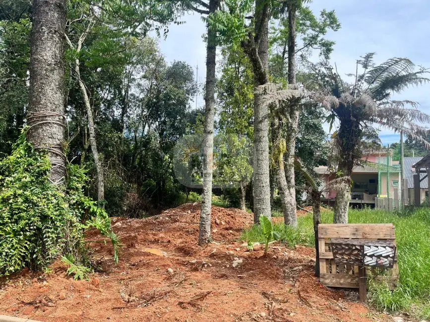 Terreno / Lote à venda, 810m2 em Nova Petropolis - RS - imagem 3 Foto 3 de Terreno / Lote à venda, 810m2 em Nova Petropolis - RS