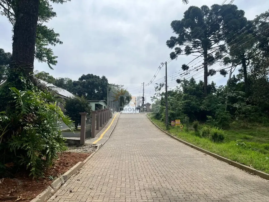 Terreno / Lote à venda, 810m2 em Nova Petropolis - RS - imagem 6 Foto 6 de Terreno / Lote à venda, 810m2 em Nova Petropolis - RS