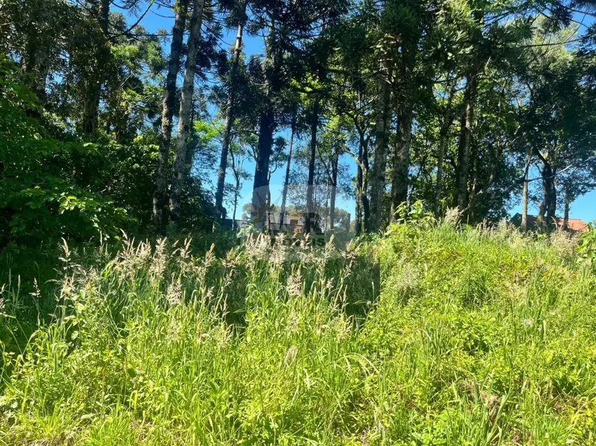 Foto 3 de Terreno / Lote à venda, 713m2 em Nova Petropolis - RS