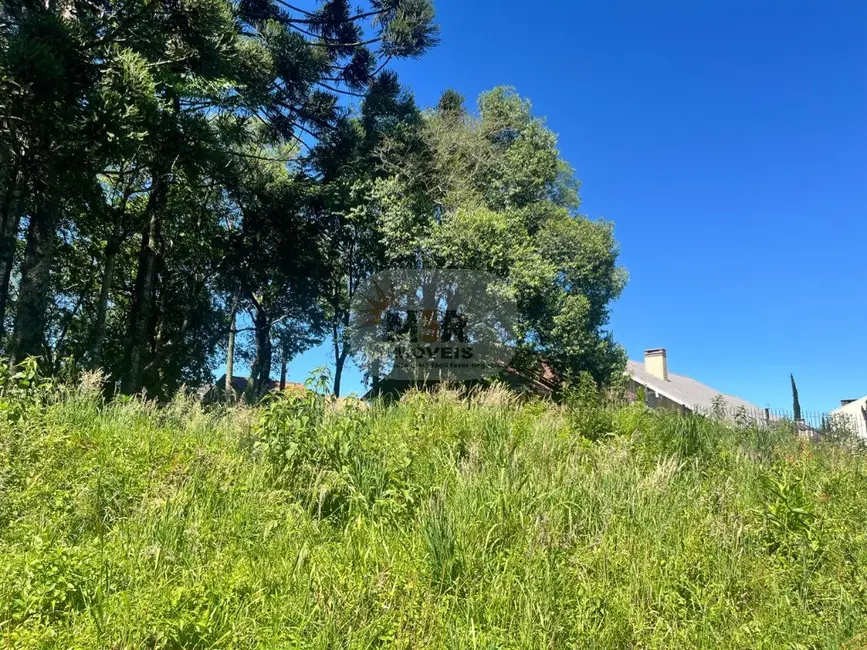 Foto 2 de Terreno / Lote à venda, 713m2 em Nova Petropolis - RS