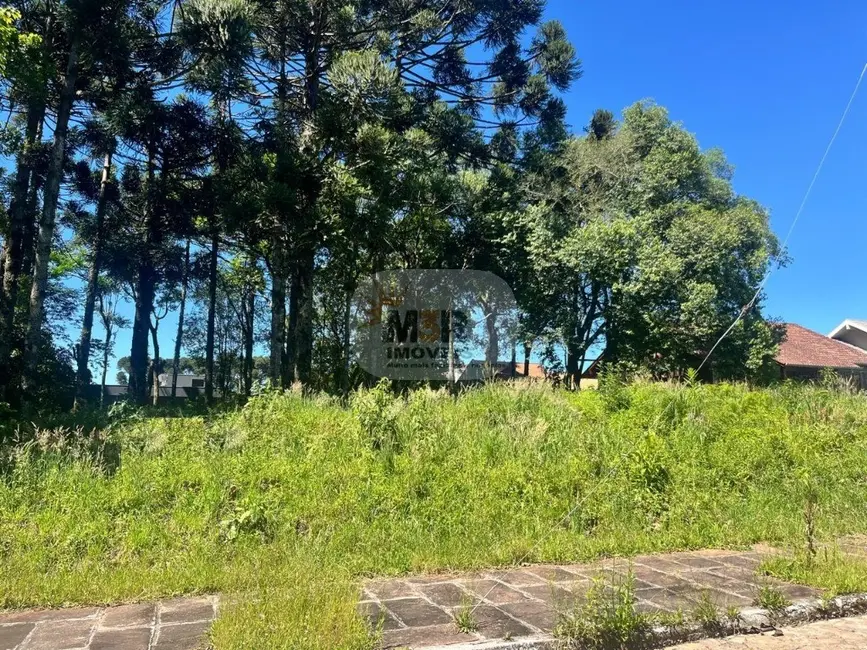 Foto 1 de Terreno / Lote à venda, 713m2 em Nova Petropolis - RS