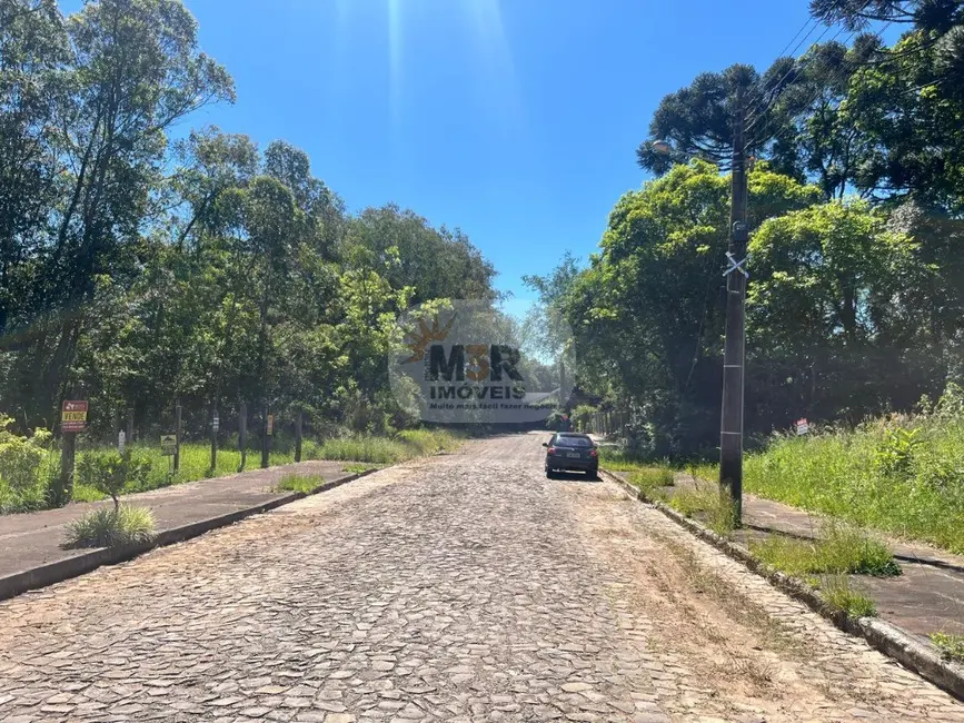Foto 4 de Terreno / Lote à venda, 713m2 em Nova Petropolis - RS