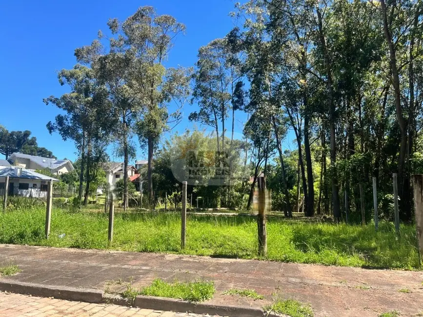 Foto 3 de Terreno / Lote à venda, 682m2 em Nova Petropolis - RS
