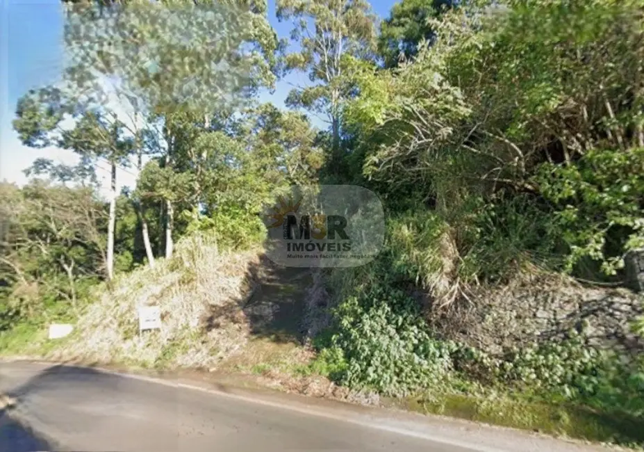 Foto 1 de Terreno / Lote à venda em Morro Reuter - RS