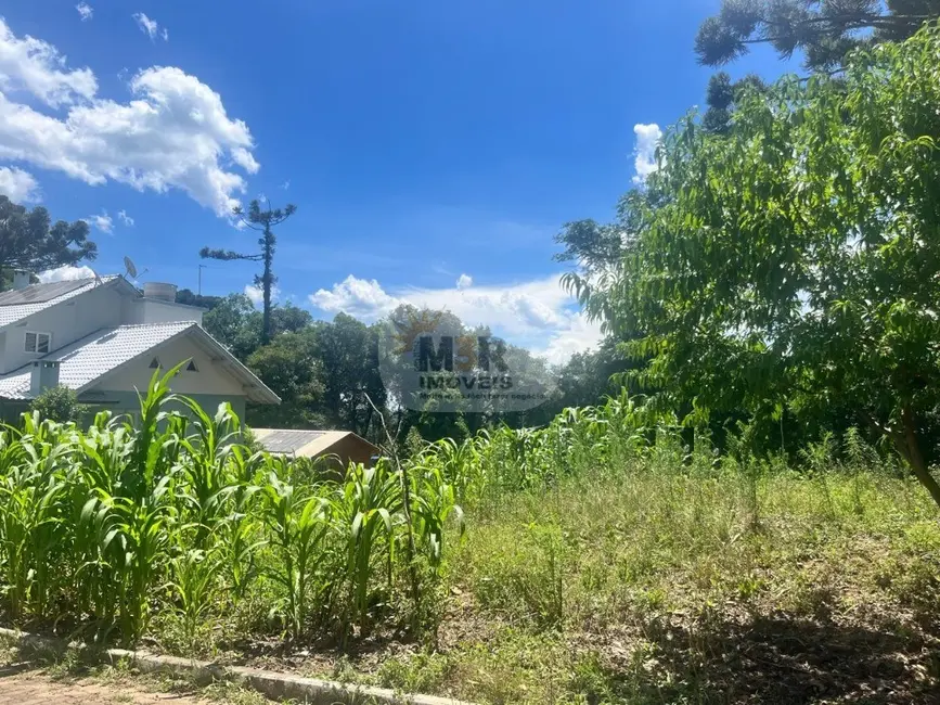 Foto 1 de Terreno / Lote à venda, 525m2 em Nova Petropolis - RS